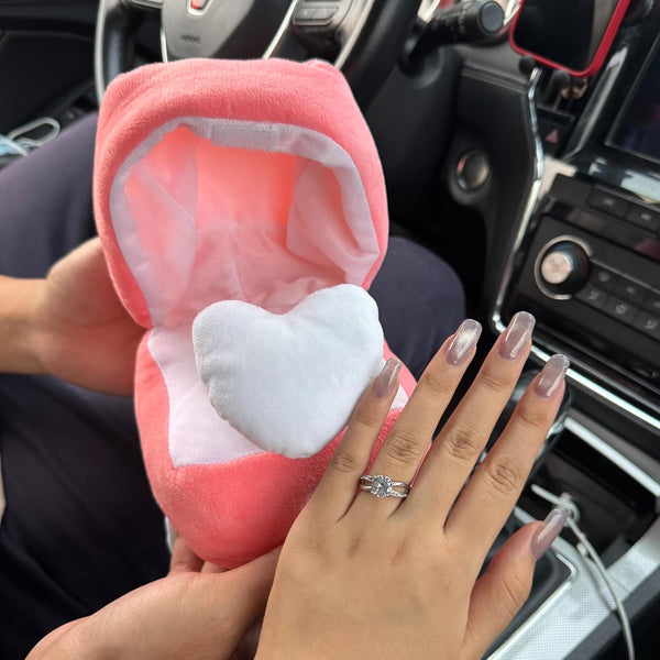 Cutie Inel Surpriză Pluș Propunere